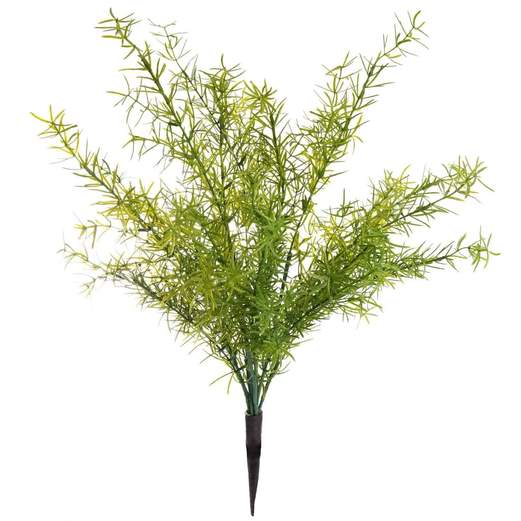 Buy β€οΈ Springeri Bush by Ashland® π 3 Buy β€οΈ Springeri Bush by Ashland® π