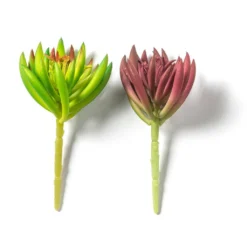 Promo 😉 Assorted Succulent Pick By Ashland® 👏 -Outlet Yuletide Joy Store 10547488 21