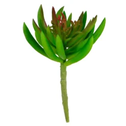 Promo 😉 Assorted Succulent Pick By Ashland® 👏 -Outlet Yuletide Joy Store 10547488 3