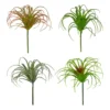 Outlet 🌟 24 Pack: Assorted Tillandsia Pick by Ashland® 🥰 -Outlet Yuletide Joy Store 10547489 1