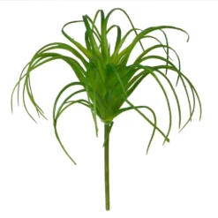 Cheap ✨ Assorted Tillandsia Pick By Ashland® 🎁 -Outlet Yuletide Joy Store 10547489 2