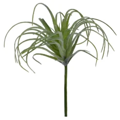 Cheap ✨ Assorted Tillandsia Pick By Ashland® 🎁 -Outlet Yuletide Joy Store 10547489 4