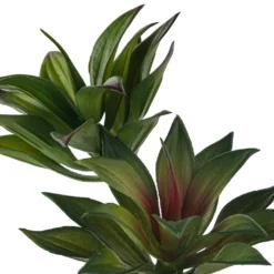 Coupon ⌛ Assorted Agave Pick By Ashland® 😀 -Outlet Yuletide Joy Store 10547490 20