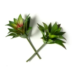 Coupon โ Assorted Agave Pick By Ashland® ๐