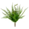 Budget 🔔 Boston Fern Bush by Ashland® 😀 -Outlet Yuletide Joy Store 10547493 1