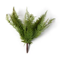 Budget 🔔 Boston Fern Bush by Ashland® 😀 -Outlet Yuletide Joy Store 10547493 21