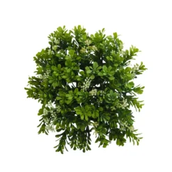 Hot Sale ⌛ 8 Pack: Green Boxwood Bush by Ashland® 👏