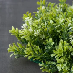 Cheapest 🔥 Green Boxwood Mat by Ashland® ⭐ -Outlet Yuletide Joy Store 10547534 25