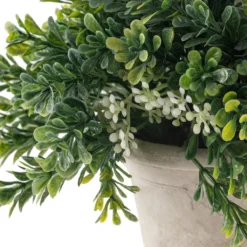 Cheapest 👏 Premade Boxwood Bush by Ashland® ✔️ -Outlet Yuletide Joy Store 10547538 20