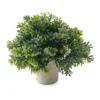 Cheapest 👏 Premade Boxwood Bush by Ashland® ✔️