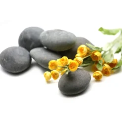 Cheap 🎉 16 Pack: Large Washed Black Stones by Ashland™ ✨ -Outlet Yuletide Joy Store 10552993 3 1