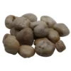Coupon 🤩 16 Pack: Brown River Rocks by Ashland® 🌟 1 Coupon 🤩 16 Pack: Brown River Rocks by Ashland® 🌟 -Outlet Yuletide Joy Store 10556692 3 1