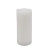 Coupon π 12 Pack: 2.75" x 6" Pillar Candle by Ashland® βοΈ 2 Coupon π 12 Pack: 2.75" x 6" Pillar Candle by Ashland® βοΈ -Outlet Yuletide Joy Store 10559744