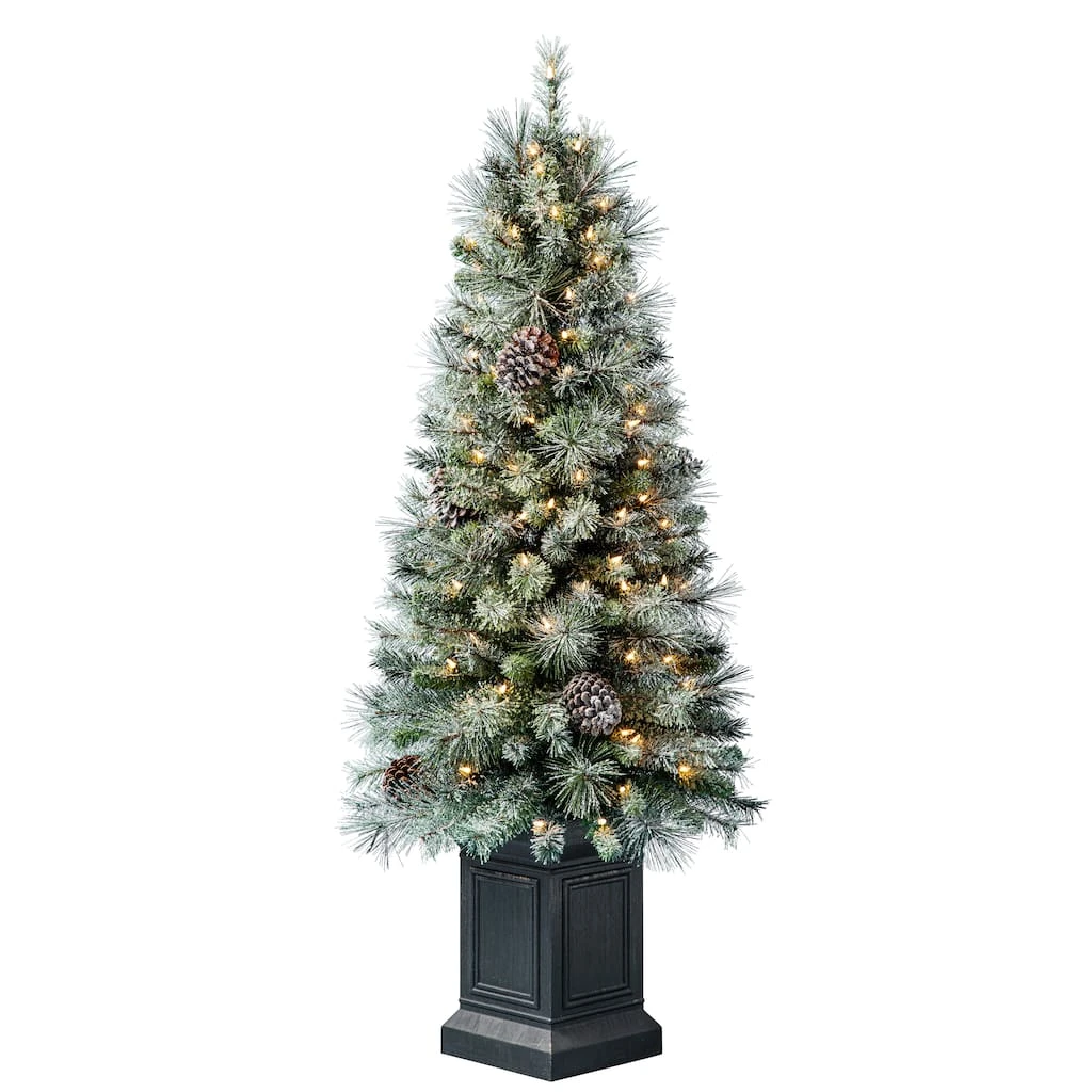 Buy ๐ 4.5ft. Pre-Lit Baywood Artificial Christmas Tree, Clear Lights by Ashland® ๐ 3 Buy ๐ 4.5ft. Pre-Lit Baywood Artificial Christmas Tree, Clear Lights by Ashland® ๐