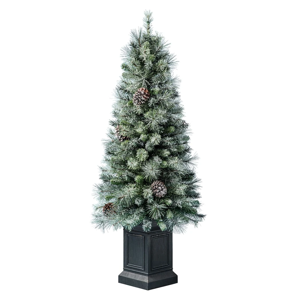 Buy ๐ 4.5ft. Pre-Lit Baywood Artificial Christmas Tree, Clear Lights by Ashland® ๐ 4 Buy ๐ 4.5ft. Pre-Lit Baywood Artificial Christmas Tree, Clear Lights by Ashland® ๐ - Image 2