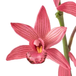 Brand new 🎁 Mauve Boat Orchid Spray by Ashland® 🔔 -Outlet Yuletide Joy Store 10626413 20