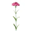 Best Sale 👏 24 Pack: Hot Pink Carnation Stem by Ashland® ⭐ -Outlet Yuletide Joy Store 10626417 1