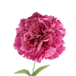Best Sale 👏 24 Pack: Hot Pink Carnation Stem by Ashland® ⭐ -Outlet Yuletide Joy Store 10626417 2