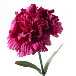 Best reviews of ❤️ Hot Pink Carnation Stem by Ashland® 😀 -Outlet Yuletide Joy Store 10626417 20