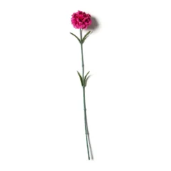 Best reviews of ❤️ Hot Pink Carnation Stem by Ashland® 😀