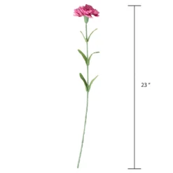 Best Sale 👏 24 Pack: Hot Pink Carnation Stem by Ashland® ⭐ -Outlet Yuletide Joy Store 10626417 3 1