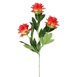 Hot Sale ✔️ 12 Pack: Red Hops Stem by Ashland® 😉