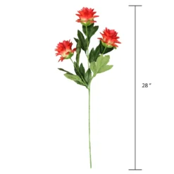 Hot Sale ✔️ 12 Pack: Red Hops Stem by Ashland® 😉 -Outlet Yuletide Joy Store 10626421 3 1