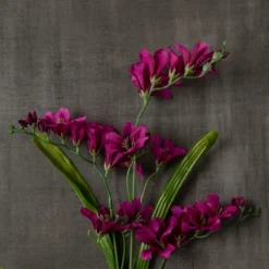 Best reviews of 👏 Hot Purple Freesia Stem by Ashland® ❤️ -Outlet Yuletide Joy Store 10626423 25