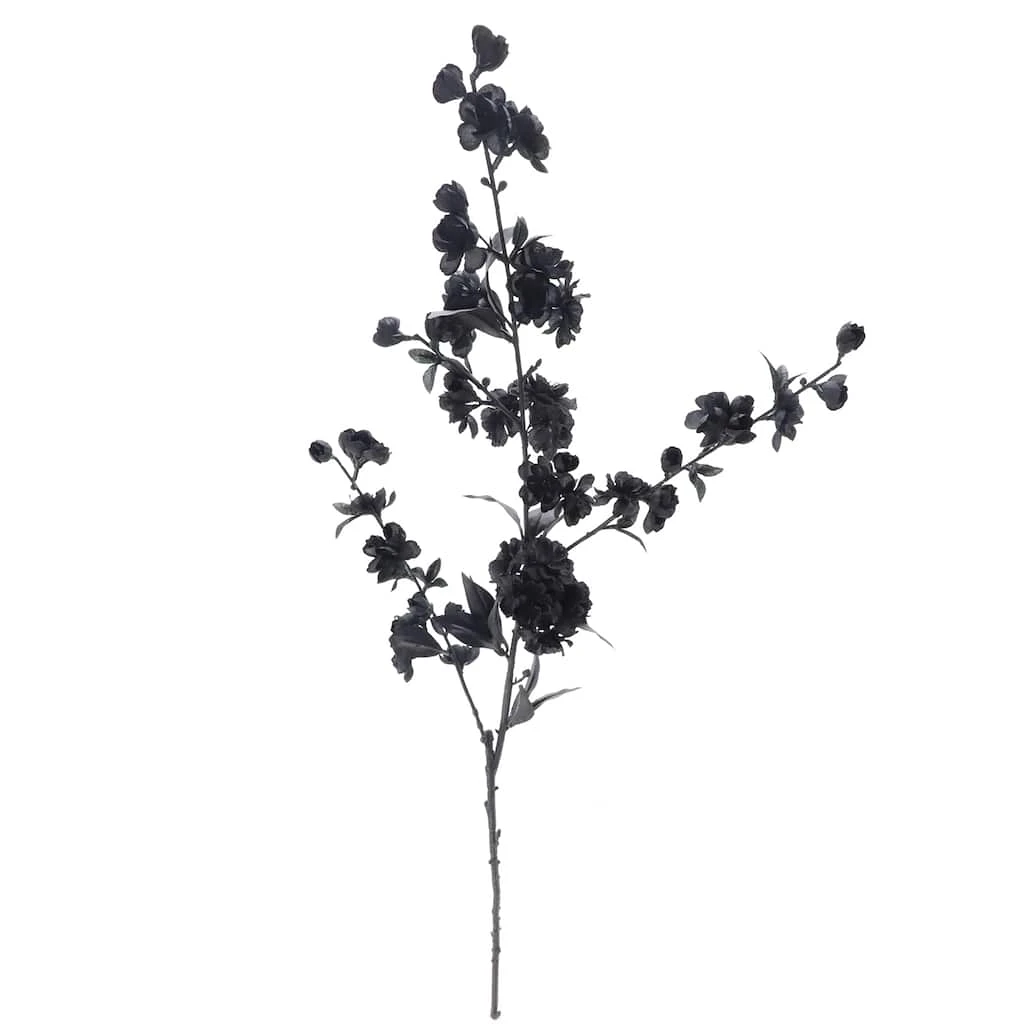 Flash Sale ❤️ 12 Pack: Black Blossom Spray by Ashland® 🔔 5 Flash Sale ❤️ 12 Pack: Black Blossom Spray by Ashland® 🔔 - Image 3