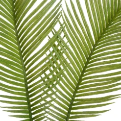 New ⌛ Green Sago Palm Stem by Ashland® 🛒 -Outlet Yuletide Joy Store 10626443 2