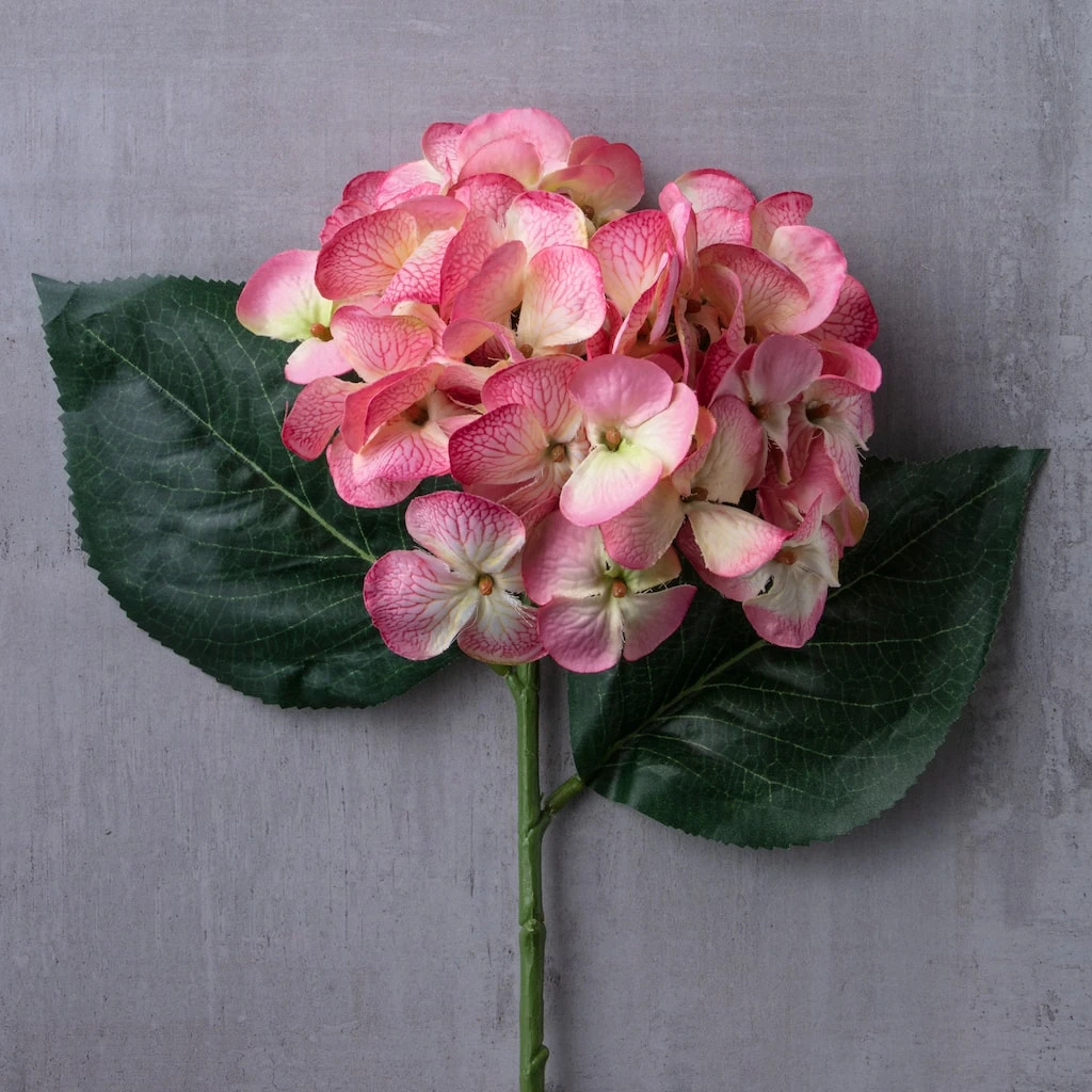 Deals ✨ Mauve Hydrangea Stem by Ashland® ✨ 4 Deals ✨ Mauve Hydrangea Stem by Ashland® ✨ - Image 2