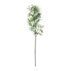 Best reviews of 👏 Frosted Dusty Miller Spray Stem by Ashland® 🛒