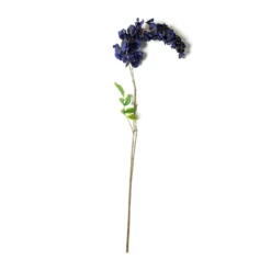 Top 10 ๐ฅ Blue Wisteria Stem by Ashland® ๐