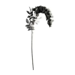 Best deal 🎁 Black Wisteria Stem by Ashland® 🔔