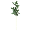 Top 10 😉 12 Pack: Rose Leaf Stem by Ashland® 😀 -Outlet Yuletide Joy Store 10626471 1