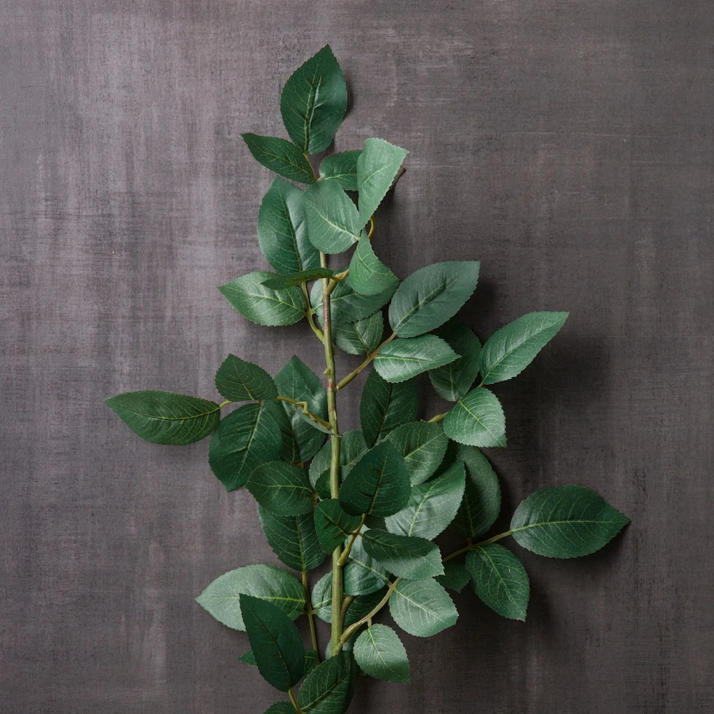 Wholesale 🔥 Rose Leaf Stem by Ashland® 🤩 4 Wholesale 🔥 Rose Leaf Stem by Ashland® 🤩 - Image 2