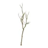 Discount ❤️ 8 Pack: Brown Bare Birch Branch by Ashland® 🎁 -Outlet Yuletide Joy Store 10626481 1 1