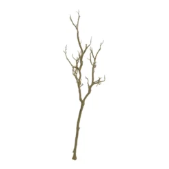 Deals ⌛ Bare Birch Branch by Ashland® ✨
