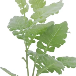 Outlet Yuletide Joy Store -Outlet Yuletide Joy Store 10626483 2