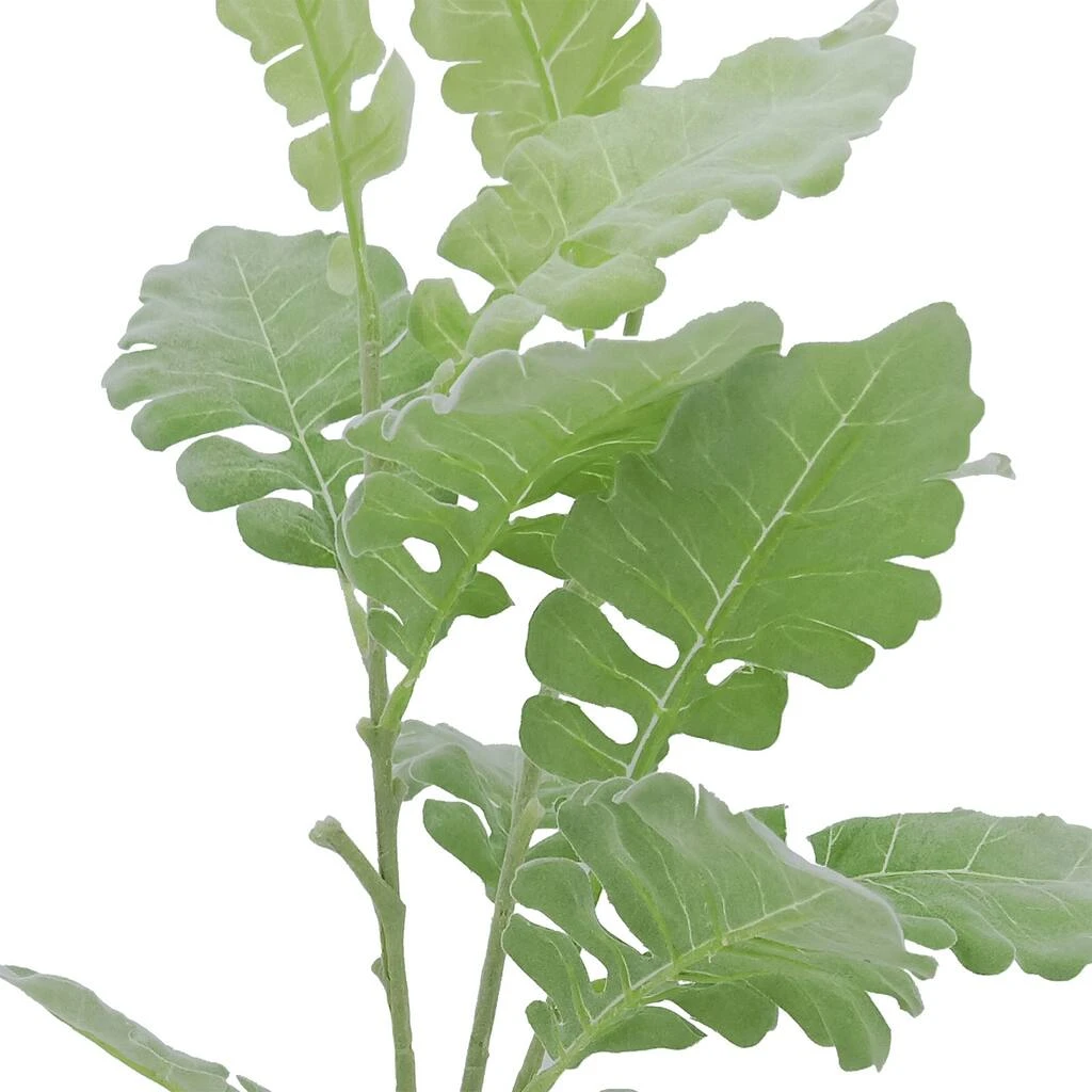 Best reviews of ✔️ 12 Pack: Green Dusty Miller Spray by Ashland® ⭐ 4 Best reviews of ✔️ 12 Pack: Green Dusty Miller Spray by Ashland® ⭐ - Image 2