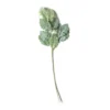 Wholesale ๐ Green Dusty Miller Stem by Ashland® ๐ฏ 1 Wholesale ๐ Green Dusty Miller Stem by Ashland® ๐ฏ -Outlet Yuletide Joy Store 10626483 21