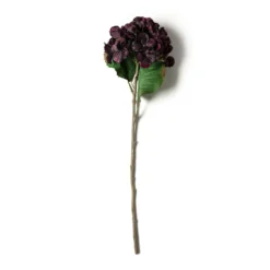 Best reviews of 🎉 Black & Purple Hydrangea Stem by Ashland® 💯