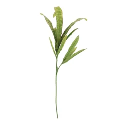 Wholesale 💯 12 Pack: Green & Yellow Croton Stem by Ashland® 🥰