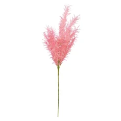 Best deal ⭐ 6 Pack: Peach Pampas Grass Stem by Ashland® 🧨