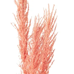 Promo ✨ Peach Pampas Grass Stem by Ashland® 🧨 7 Promo ✨ Peach Pampas Grass Stem by Ashland® 🧨 -Outlet Yuletide Joy Store 10626520 20