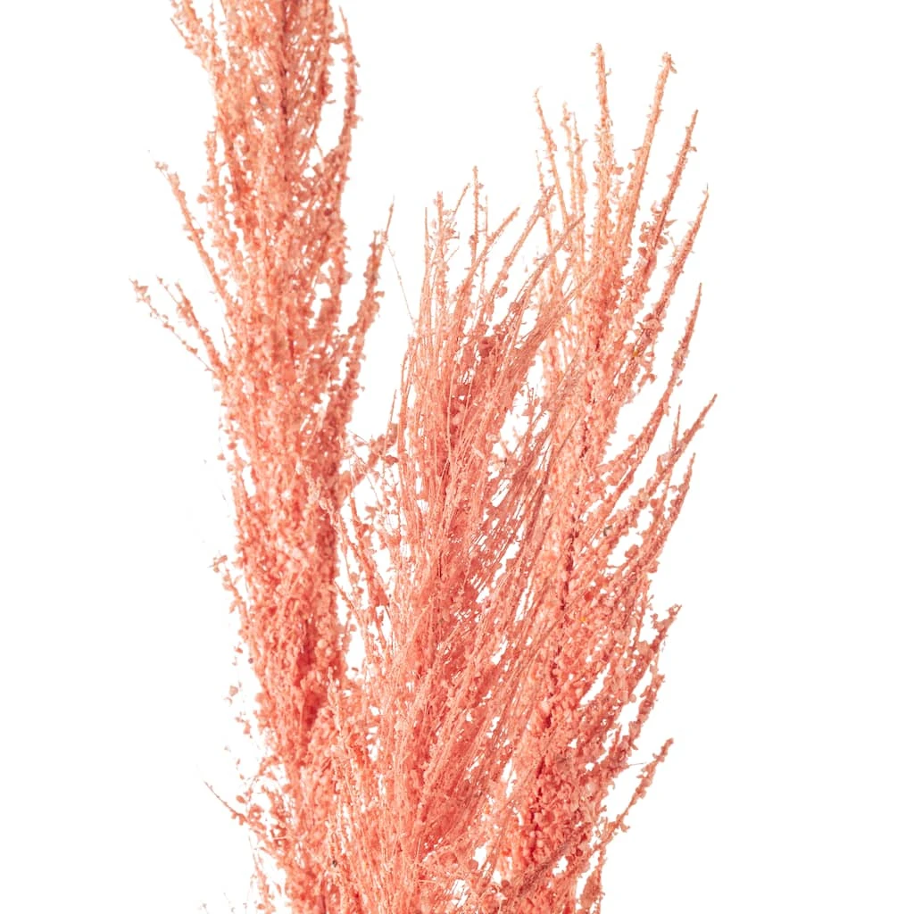 Promo ✨ Peach Pampas Grass Stem by Ashland® 🧨 5 Promo ✨ Peach Pampas Grass Stem by Ashland® 🧨 - Image 3