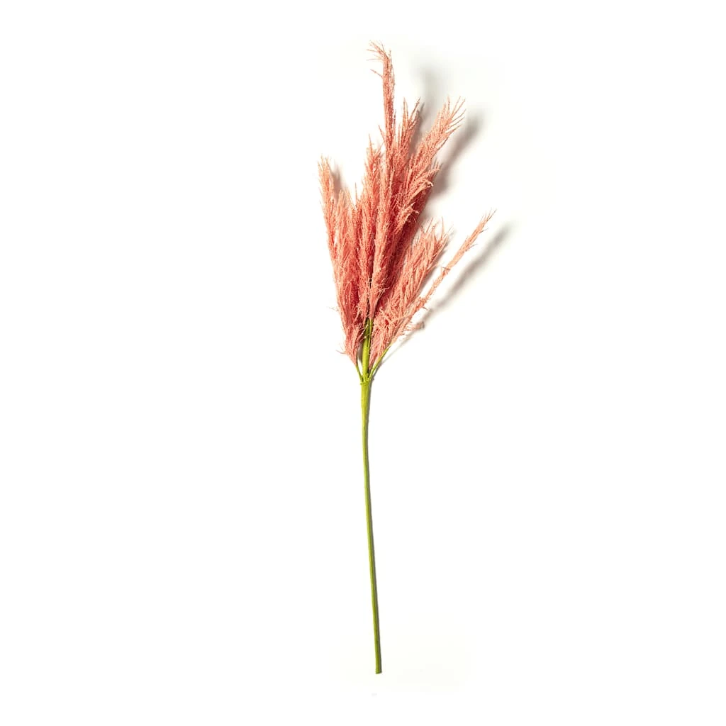 Promo ✨ Peach Pampas Grass Stem by Ashland® 🧨 3 Promo ✨ Peach Pampas Grass Stem by Ashland® 🧨