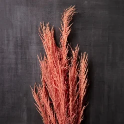 Promo ✨ Peach Pampas Grass Stem by Ashland® 🧨 6 Promo ✨ Peach Pampas Grass Stem by Ashland® 🧨 -Outlet Yuletide Joy Store 10626520 22
