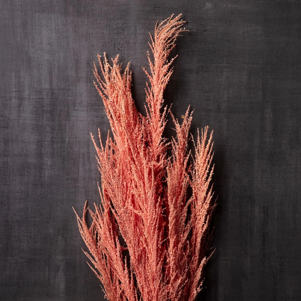 Promo ✨ Peach Pampas Grass Stem by Ashland® 🧨 4 Promo ✨ Peach Pampas Grass Stem by Ashland® 🧨 - Image 2