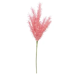 Best deal ⭐ 6 Pack: Peach Pampas Grass Stem by Ashland® 🧨 -Outlet Yuletide Joy Store 10626520 4